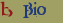 bio