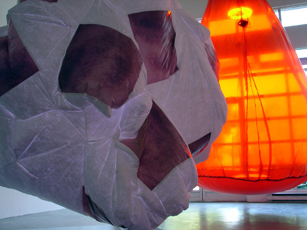 Karen Kazmer: Wreck and Hover