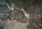 Naufús Figueroa Ramirez